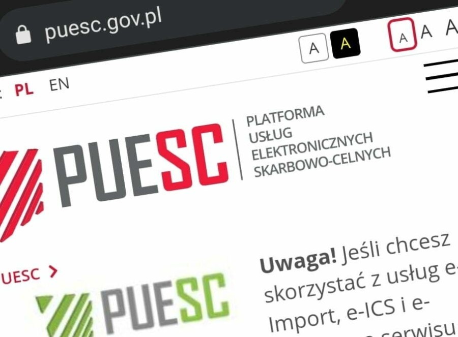 Sprawdź status rejestracji w PUESC instrukcja
